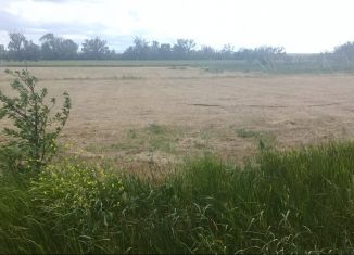 Участок на продажу, 24 сот., село Зыбины, улица Кирова