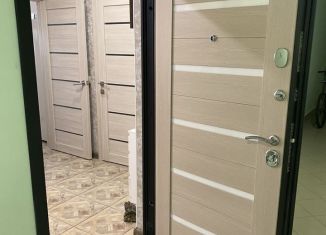 Продается 1-комнатная квартира, 50 м2, Краснодар, улица Невкипелого, 18к2, ЖК Поющие Фонтаны