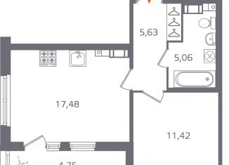 Продажа однокомнатной квартиры, 42 м2, Санкт-Петербург, муниципальный округ Финляндский