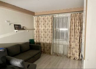 Сдаю в аренду квартиру студию, 25 м2, Мурино, Привокзальная площадь, 1Ак1, ЖК Мечта