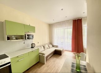 1-комнатная квартира на продажу, 32.5 м2, Новгородская область