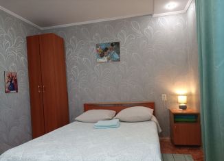 Сдается 1-комнатная квартира, 30 м2, Горно-Алтайск, Коммунистический проспект, 2