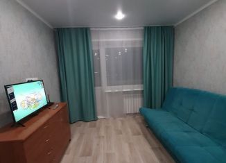 1-ком. квартира в аренду, 33 м2, Татарстан, улица Радищева, 4