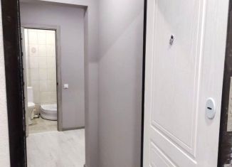 Продается квартира студия, 20.5 м2, Москва, улица Липчанского, 2, метро Некрасовка