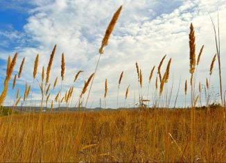 Продается участок, 225 сот., Верхореченское сельское поселение