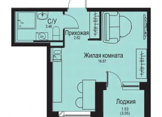 Продается квартира студия, 24.5 м2, деревня Новосергиевка