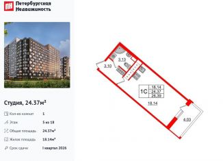 Продажа квартиры студии, 24.4 м2, Санкт-Петербург, муниципальный округ Невский