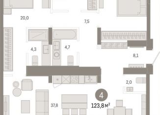 Продаю 4-комнатную квартиру, 123.8 м2, Омская область