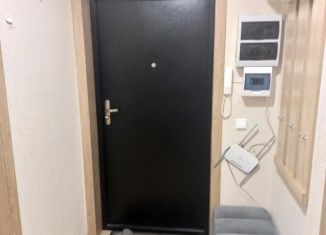 Сдаю 1-ком. квартиру, 37.6 м2, Воронеж, улица Шидловского