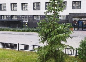 Продажа 1-ком. квартиры, 28.6 м2, Мурино, ЖК Графика, Екатерининская улица, 16/5