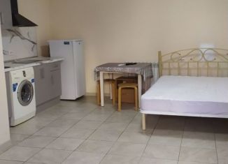 Сдается квартира студия, 25 м2, Краснодарский край, Трудовая улица, 15