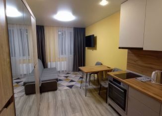 Продаю квартиру студию, 23.9 м2, Краснодар, улица Героя Пешкова, 14к1