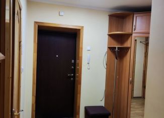 1-ком. квартира в аренду, 49 м2, Пушкин, Малиновская улица, 11к2