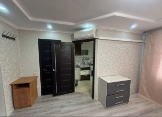 Сдается 1-ком. квартира, 40 м2, Михайловск, улица Ишкова, 93