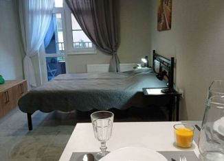 Квартира в аренду студия, 30 м2, Анапа, Александрийский переулок, 6