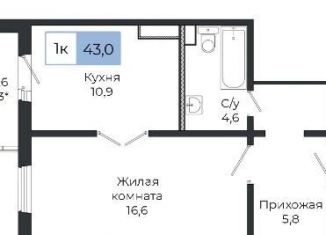 Продажа 1-комнатной квартиры, 43 м2, Красноярск