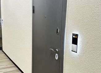 Квартира на продажу студия, 24.6 м2, посёлок Шушары, улица Нины Петровой, 8к1