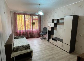 Сдам в аренду 2-ком. квартиру, 48 м2, Сосновый Бор, улица Красных Фортов, 9