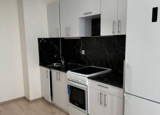 Сдается 1-ком. квартира, 38 м2, деревня Анкудиновка, Русская улица, 17, ЖК КМ Анкудиновский Парк