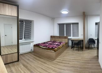 Сдается квартира студия, 30.1 м2, Москва, улица Металлургов, ВАО