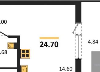 Продается квартира студия, 24.7 м2, Воронеж, Железнодорожный район, набережная Чуева, 7