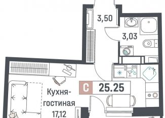 Продается квартира студия, 25.3 м2, Мурино