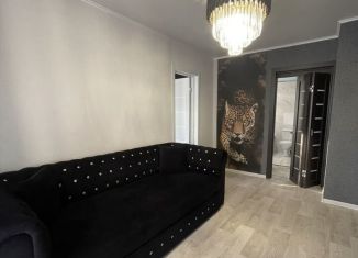 2-комнатная квартира в аренду, 40 м2, Абакан, улица Вяткина, 13