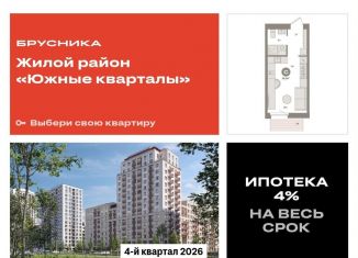 Продам квартиру студию, 24.2 м2, Екатеринбург, Московская улица, 158