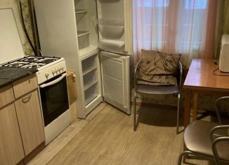 Сдача в аренду 2-комнатной квартиры, 48 м2, Екатеринбург, улица Новгородцевой, 13, Кировский район