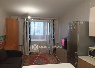 Сдаю квартиру студию, 24 м2, посёлок Шушары, Первомайская улица, 5к1