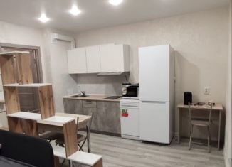 Сдам в аренду квартиру студию, 26 м2, Мурино, Екатерининская улица, 3/4