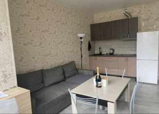 Сдам в аренду квартиру студию, 28 м2, Котельники, микрорайон Новые Котельники, 4