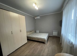 Сдам в аренду дом, 50 м2, Новочеркасск, улица Грекова, 38