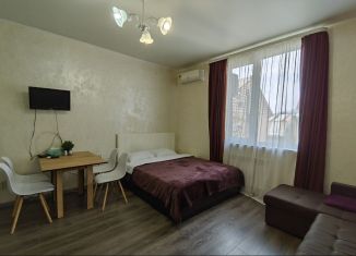 Квартира в аренду студия, 30 м2, Сочи, улица Чкалова, 32