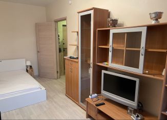 Сдается квартира студия, 30 м2, Санкт-Петербург, улица Оптиков, 34к1, муниципальный округ № 65