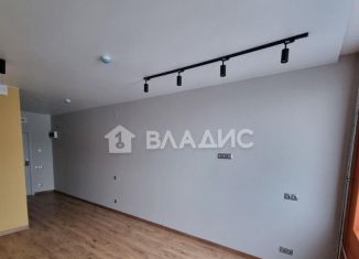 Продам квартиру студию, 24.6 м2, Санкт-Петербург, дорога на Турухтанные Острова, 5к1, метро Кировский завод