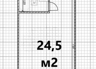 Продаю квартиру студию, 24.5 м2, Санкт-Петербург, Тележная улица, 26-28, метро Площадь Восстания