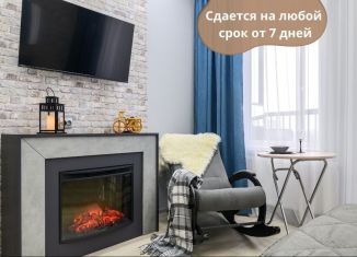 Сдача в аренду квартиры студии, 28 м2, Санкт-Петербург, Приморский район, Торфяная дорога, 17к2