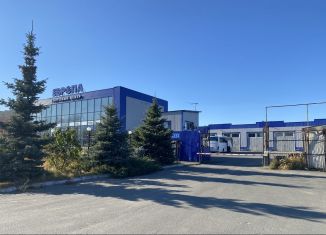 Аренда помещения свободного назначения, 250 м2, Курган, улица Бурова-Петрова, 123В