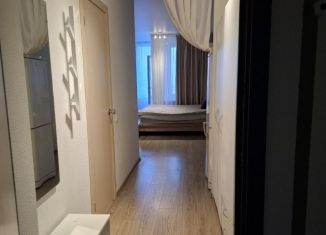 Квартира в аренду студия, 29 м2, Екатеринбург, Чкаловский район