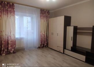 Сдается в аренду 1-ком. квартира, 42 м2, Мордовия, улица Фурманова, 16А