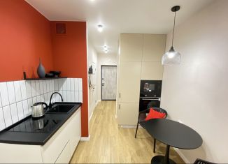 Сдается квартира студия, 27 м2, Татарстан, улица Аделя Кутуя, 100