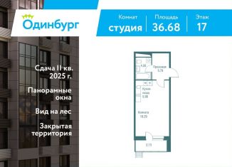 Продаю квартиру студию, 36.7 м2, Одинцово