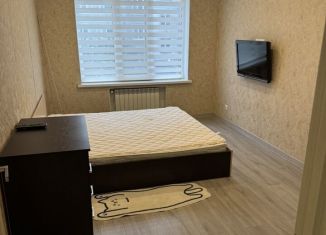 Сдам в аренду комнату, 47 м2, Санкт-Петербург, Стрельбищенская улица, 4, метро Международная