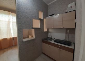 Аренда квартиры студии, 18 м2, Пермь, улица Борчанинова, 1