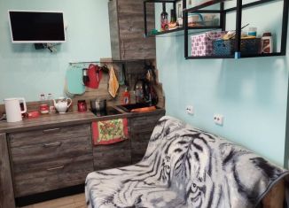 Продажа квартиры студии, 20.1 м2, посёлок турбазы Приморская, квартал Бриз, 1/2