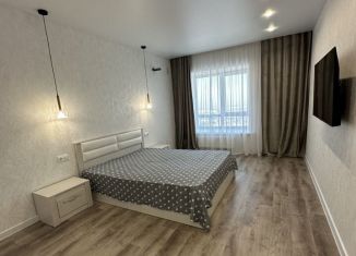 Сдаю 1-комнатную квартиру, 40 м2, Алтайский край, улица Аванесова