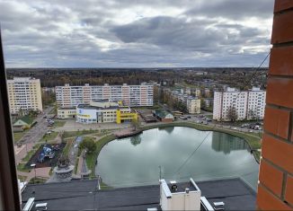 Сдам в аренду двухкомнатную квартиру, 45 м2, рабочий посёлок Киевский, рабочий посёлок Киевский, 23А