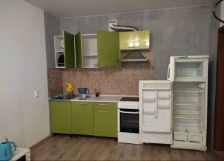 Сдается в аренду квартира студия, 28 м2, Верхняя Пышма, Успенский проспект, 113Д/1