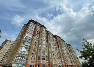 Двухкомнатная квартира в аренду, 74 м2, Казань, Курская улица, 20